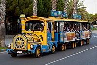 Tourist Train Tourist Train