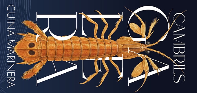 GALERA'S DAYS CAMBRILS